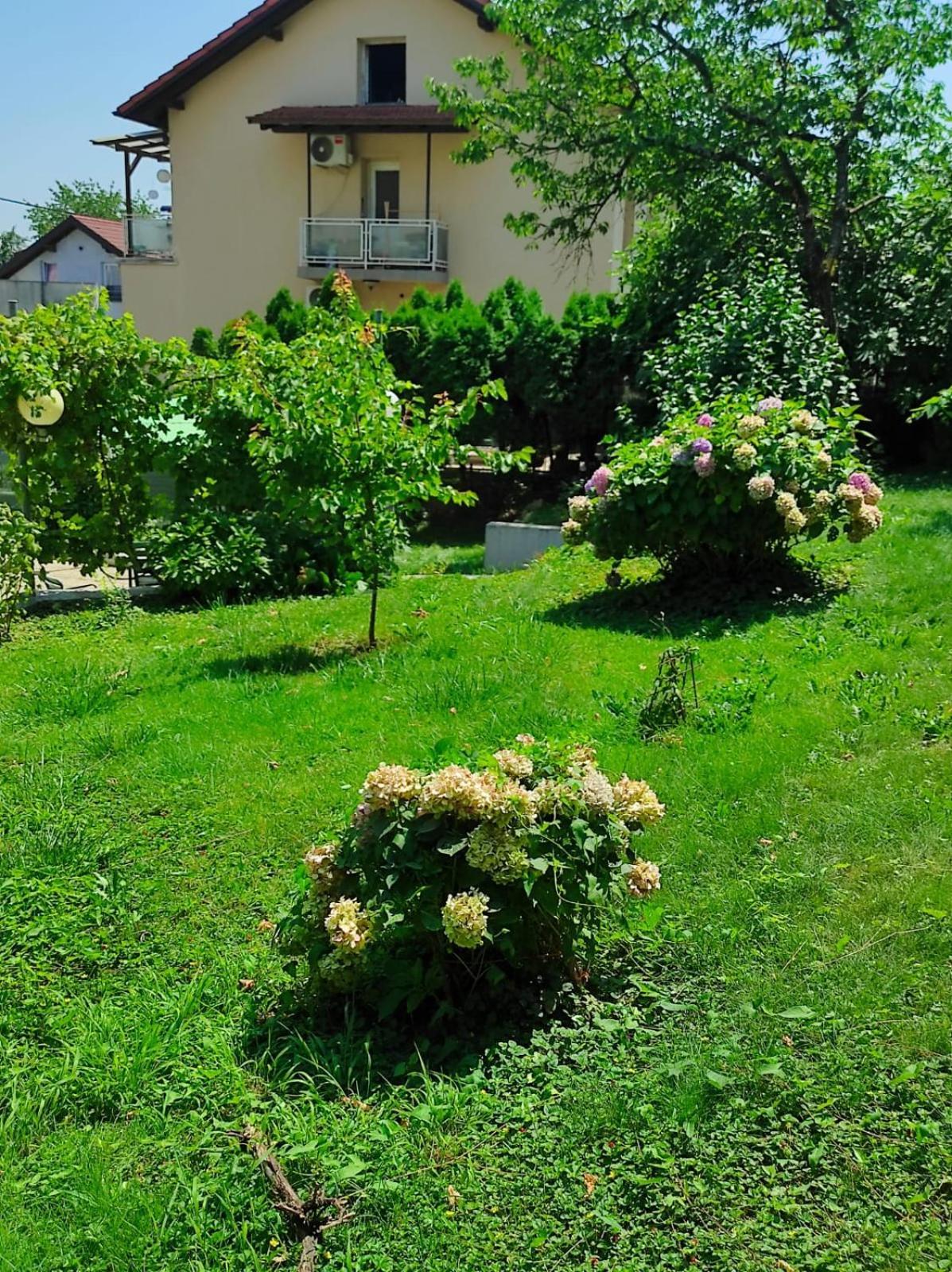 Apartman Zagreb,Rebro,Maksimir,Centar Marko Dış mekan fotoğraf